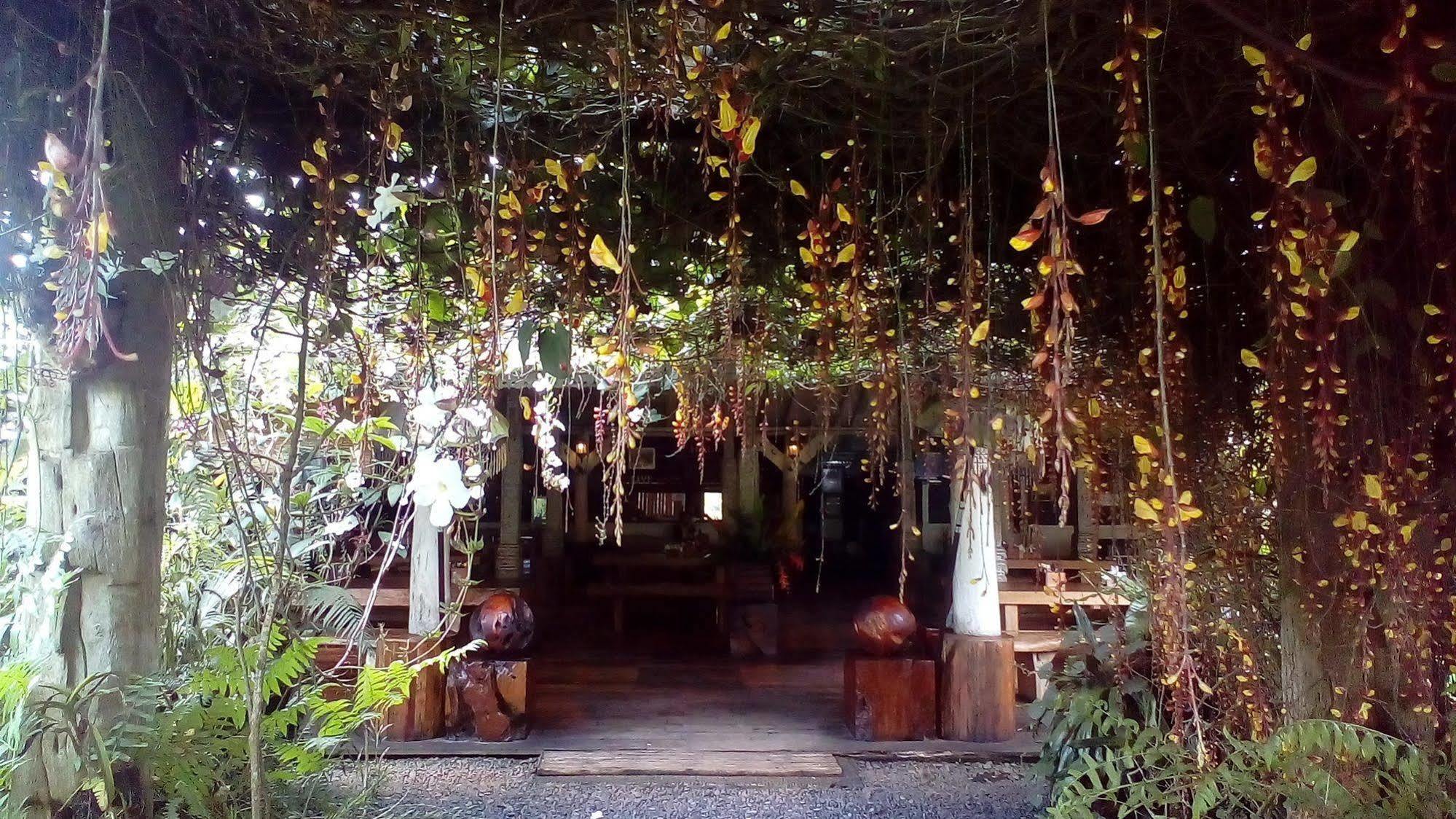Warung Rekreasi Bedugul Hotel Exterior foto